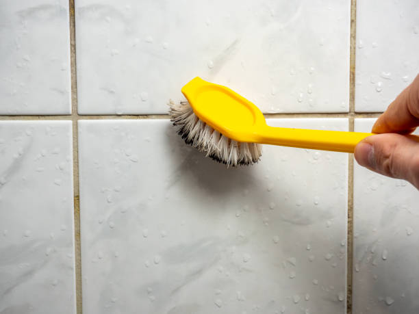 Trusted Notasulga, AL Mold Removal Experts