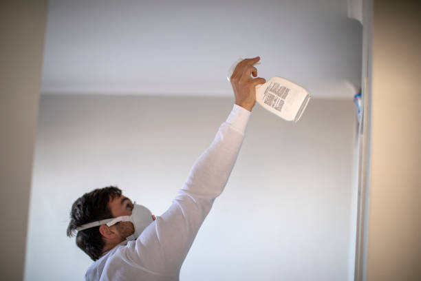 Best Certified Mold Removal  in Notasulga, AL