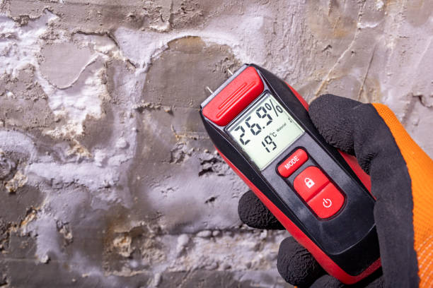 Best Mold Remediation Services  in Notasulga, AL