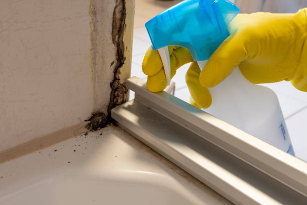 Best Local Mold Removal Service  in Notasulga, AL