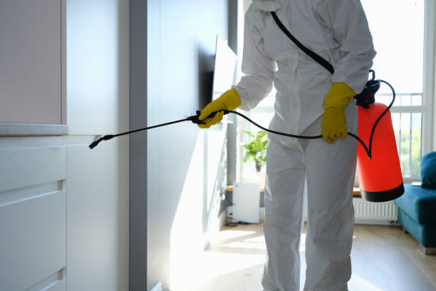 Best Mold Testing and Removal  in Notasulga, AL