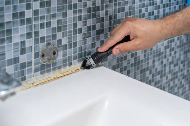 Certified Mold Removal in Notasulga, AL