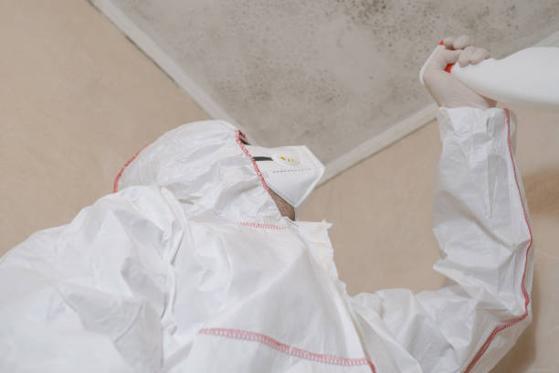 Best Mold Remediation Experts  in Notasulga, AL