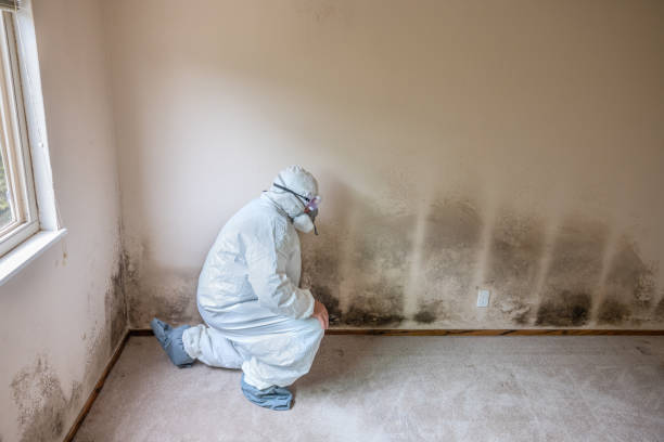 Best Commercial Mold Removal  in Notasulga, AL