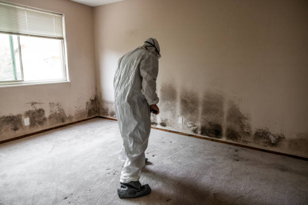 Office Mold Removal Services in Notasulga, AL
