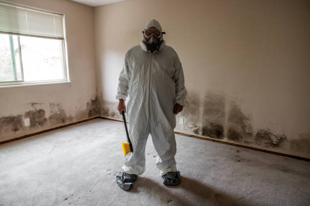 Best Mold Damage Repair  in Notasulga, AL