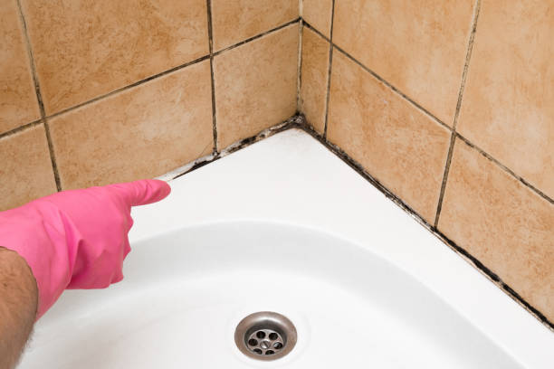 Best Mold Cleaning Services  in Notasulga, AL